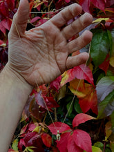 Load image into Gallery viewer, 'Mulberry'