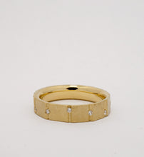 Load image into Gallery viewer, Ambit Facet Mid