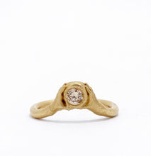 Load image into Gallery viewer, 'Aloft'