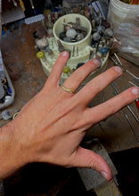 Load image into Gallery viewer, 'Harvest'