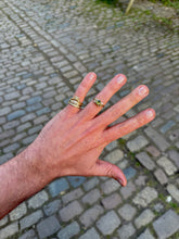 Load image into Gallery viewer, Epiphyte