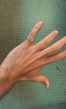 Load image into Gallery viewer, 'Dig'