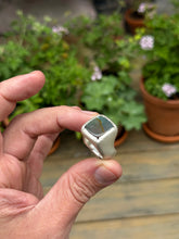 Load image into Gallery viewer, 083 SILVER SAMPLE SALE 2025
