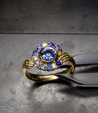 Load image into Gallery viewer, &#39;Picea&#39;
