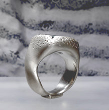 Load image into Gallery viewer, 083 SILVER SAMPLE SALE 2025
