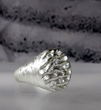 Load image into Gallery viewer, 076 SILVER SAMPLE SALE 2025
