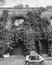 Load image into Gallery viewer, Consultation Call or Meeting with Fraser Hamilton
