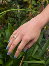 Load image into Gallery viewer, &#39;Persica&#39;
