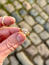 Load image into Gallery viewer, 'Sunray'
